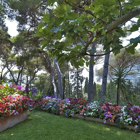 Brunella Capri