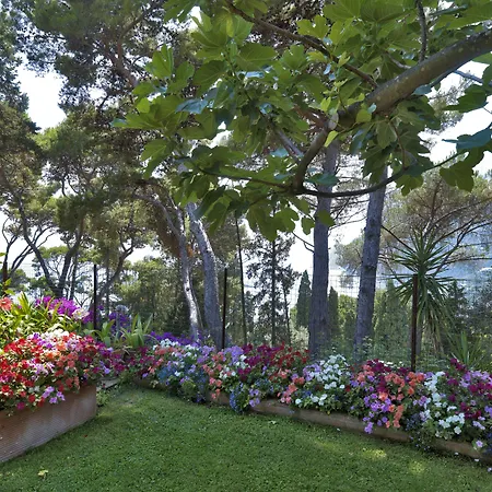 ブルネッラ ホテル 5*