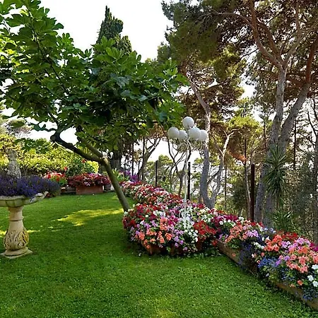 Brunella 5*