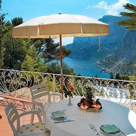 Brunella 5*