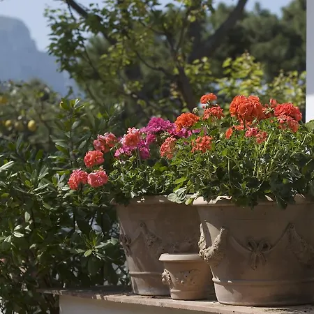 Hotel Brunella